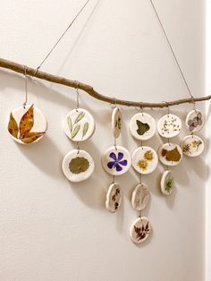 a group of ceramic ornaments hanging from a tree branch on a white wall with leaves and flowers