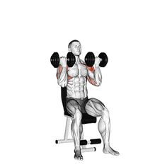 a drawing of a man sitting on a bench holding two dumbbells