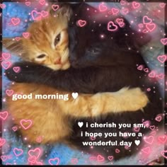 two cats cuddling together with the caption good morning i cherish you smile, i hope you have a wonderful day