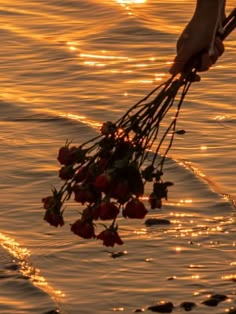 a person holding flowers in the water at sunset