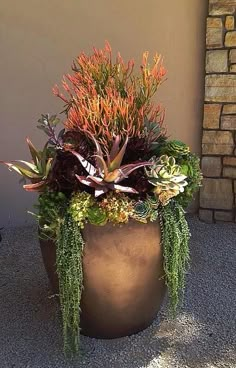 a large planter filled with lots of different types of plants