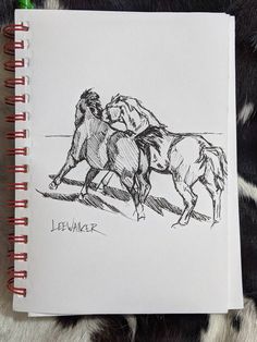 Western Sketches, Horses Playing, Beautiful Pencil Drawings, Cowgirl Art, Equestrian Art, Scratch Art