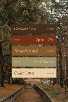 Fall Colors With Hex Codes, Rare Colors Names Aesthetic, Fall Hex Color Palette, Bold Earthy Color Palette, Fall Hex Codes, Color Pallets Inspiration, Tuscan Color Palette, Elegant Colour Palette, Color Palette Website