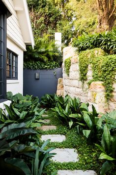 an outdoor garden with green plants and stepping stones in the grass next to a house