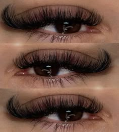 Natural Fake Eyelashes, Lashes Fake Eyelashes, Eyelash Extensions Styles, Lash Extensions Styles, Perfect Eyelashes, Lash Business, Natural Eyelash Extensions, Makeup For Black Skin