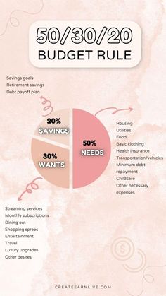 a pie chart with the words 50 / 80 / 20 budget true and some other things on it