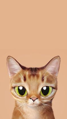 an orange and white cat with green eyes looking at the camera while standing in front of a pink background