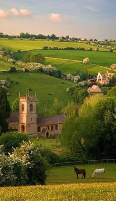 two horses grazing in a field with the words i think my soul belongs in england