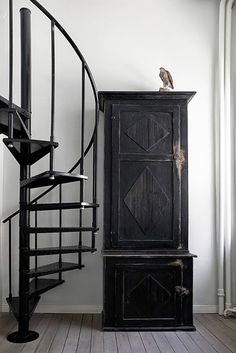 a bird sitting on top of a black cabinet next to a spiral stair case in a white room