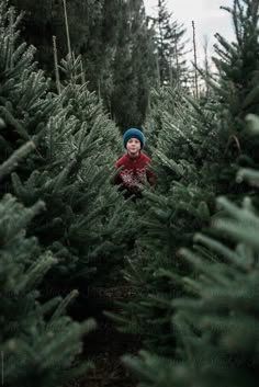 a little boy standing in the middle of a row of christmas trees at a tree farm