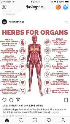 Easy Ideas, Healing Herbs, Alternative Health