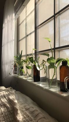 some plants are sitting on a window sill in front of the windowsills