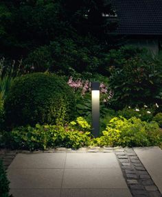 an outdoor light shines in the middle of a garden with green plants and shrubs