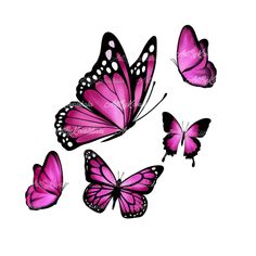 three pink butterflies flying in the air with one on its back and one on its side