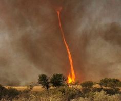 Chris Tangey of Alice Springs Television was survey locations near Curtin Springs, when he witnessed one of nature’s rarest phenomenons: a twister touched down on the spot fire, fanning it into a furious tower of flame.-SR Vulcano Che Erutta, Australia Weather, Strange Weather, Belize City, World On Fire