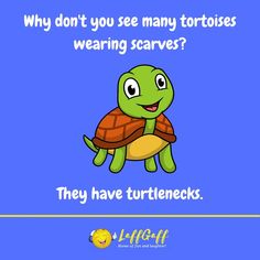 a turtle with the caption why don't you see many tortoises wearing scarves? they have turtles