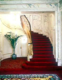 a red carpeted staircase leading up to the second floor in an elegant home with white walls and trimmings