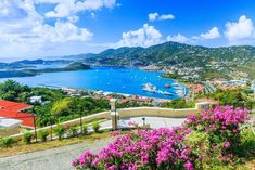 an aerial view of the town and harbor with boats in the water, surrounded by purple flowers