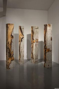 four pieces of wood are arranged in an art gallery