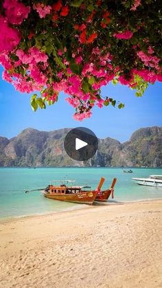 a boat on the beach with pink flowers hanging over it