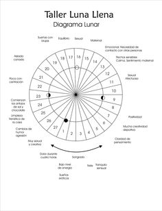 Diagrama Lunar Moon Party Ideas, Moon Symbols, Moon Calendar, Magic Women, Bullet Journal Notebook, Astrology Chart, Sacred Feminine