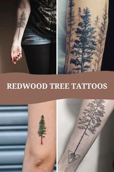 four different tattoos with trees and arrows on their arms, the words redwood tree tattoos