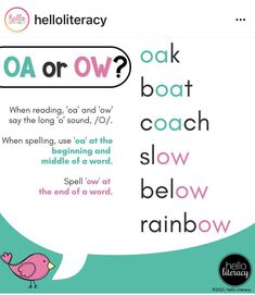 a speech bubble with the words oa or ow? and an image of a bird