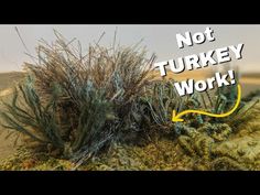 a plant that is sitting in the dirt with words not turkey work on it's side