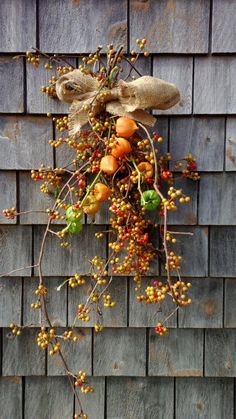 a bunch of berries hanging from the side of a building with a bow on it