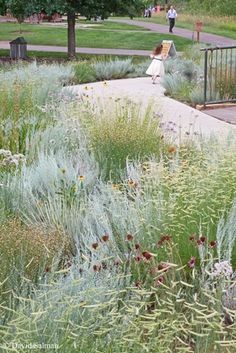 a woman walking down a sidewalk next to tall grass and flowers on the side of a road