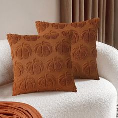 two pillows sitting on top of a white couch