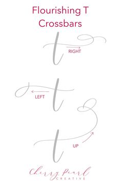 four different types of lettering with the words, flourishing t and crossbars