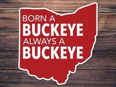 a sticker that says,'born a buckeye always a buckeye '