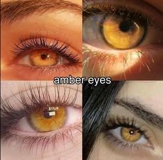 Amber Eyes Drawing, Rare Eye Colors Unique, Light Amber Eyes, Golden Eyes Aesthetic, Yellow Eye Color, Amber Eyes Aesthetic, Gold Eye Color, Amber Eyes Color