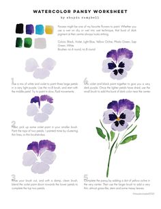 watercolor pansy worksheet for beginners