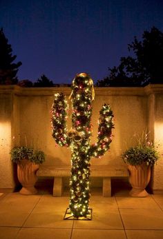 a lighted cactus in front of some potted plants