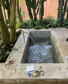 an outdoor hot tub surrounded by plants and scissors