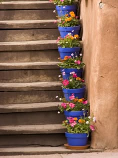 some flowers are growing in blue pots on the steps