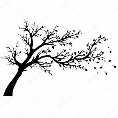 the silhouette of a tree with falling leaves on a white background stock photo 548972