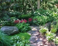 a garden filled with lots of different types of flowers