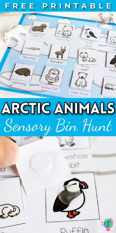 an arctic animal activity for kids to learn how to read and write