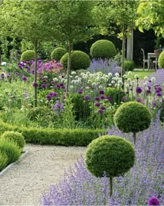 a garden filled with lots of different types of flowers