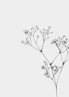 a black and white photo of some flowers on a branch in the air with no one around it