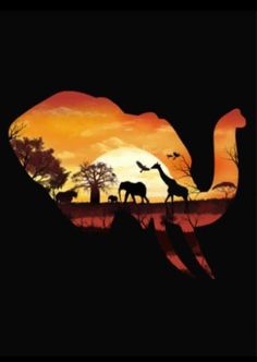 an elephant and giraffes are silhouetted against the sunset in this illustration