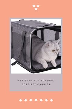 a white cat laying inside of a pet carrier on top of a pink and gray background