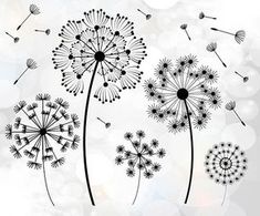 three dandelions blowing in the wind on a white and gray background with bubbles