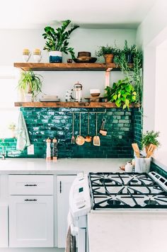 the kitchen is clean and ready to be used as a place for potted plants