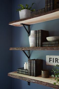 two shelves with books and plants on them