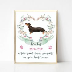 a black and brown dachshund dog is shown in the frame