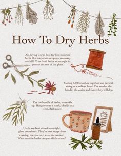 an advertisement for dry herbs on a white background